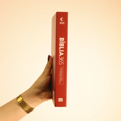 image_c0e34e2d-7ab6-4ed9-b457-e9f29012baa3