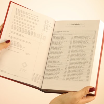 image_7ec93c10-fe7e-45f0-81ca-b4a7e3206e9d