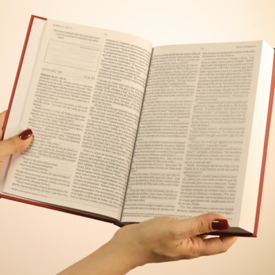 image_69d006af-30f8-4740-b85d-7fea374b0ecd