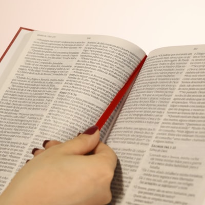 image_5200fec6-9cdb-48ed-9876-59614ab28a67