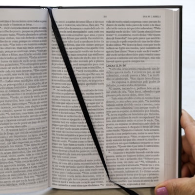 image_e309fa11-50ae-4d5f-ad0d-2df8758ddb11