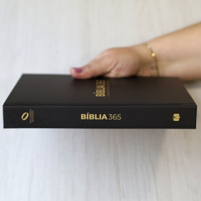 image_50e2ef07-94f3-4003-a74e-097b860f0f20