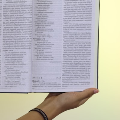 image_05afc174-7815-45b4-add6-64f27dd9a28e