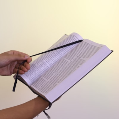 image_39706072-086f-42d2-9fb9-c11a6acef649