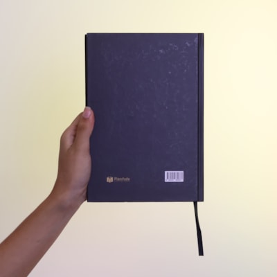 image_ed813aa3-25de-405b-87d4-9d77561b5f85