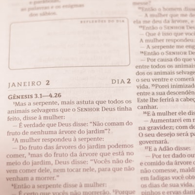 image_58a7a188-c4ae-4535-b0d0-82d22d68f9d6