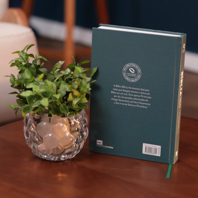 image_bb2a6f64-06c3-43d3-8d20-df9b19f7a7e7