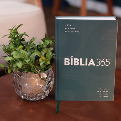 image_e51e9d37-fab8-43c8-99b4-28c158ec1e94