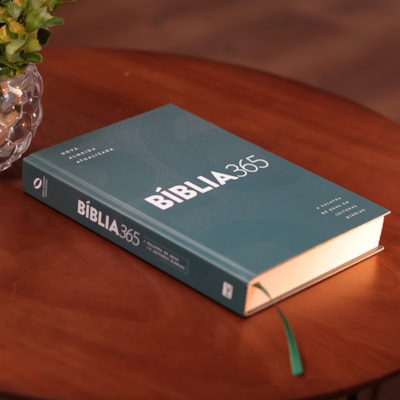 image_1c20e819-8854-4b6a-929e-6fd7646923d8