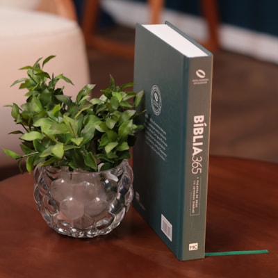 image_789a239e-5c70-4440-a414-a1397b320c23