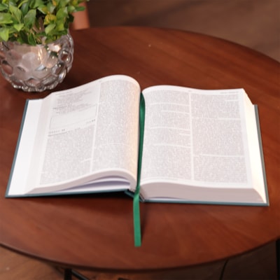 image_5d286d31-1e00-4ea7-af02-dbd402f43603