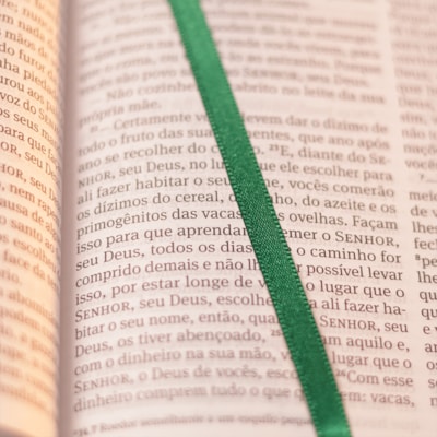 image_8ecc5b89-c578-4d4f-ac1d-fc2a5fade9bf