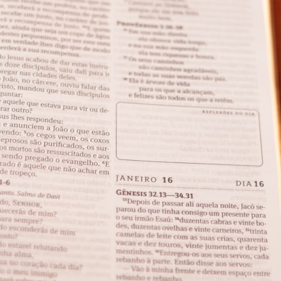 image_dd90cd25-8397-4cec-8f9e-07bbdc50c913