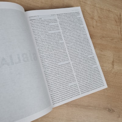 image_1030f14a-32b4-4b6f-9113-16dc027bc7ba