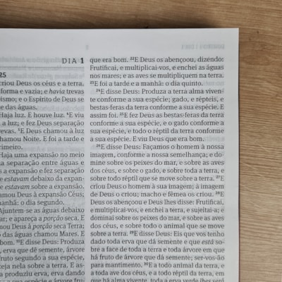 image_1466eb8e-47ec-429c-ae20-92053c7c3fbe