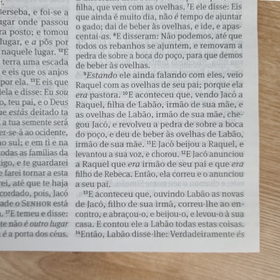 image_4a7075cd-96d5-444e-a8f0-20162980b89a