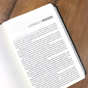 Bíblia A Mensagem | Letra Gigante | Capa Luxo Verde