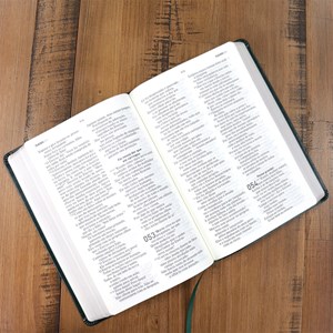 Bíblia A Mensagem | Letra Gigante | Capa Luxo Verde