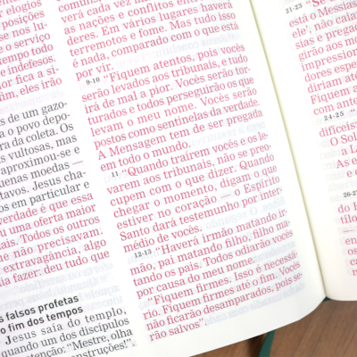 image_d13f5e5a-cf74-4e7d-83b1-a685086ee8da