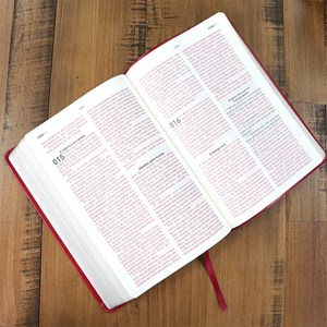 Bíblia A Mensagem |  Letra Gigante | Capa Luxo Vermelha