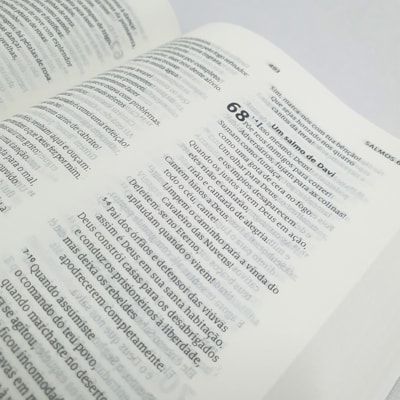 image_79009219-1046-445f-b6a1-bd1227f10066