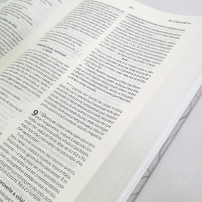 image_b65088f4-fdb5-4c6a-bb01-2f368a65bb44