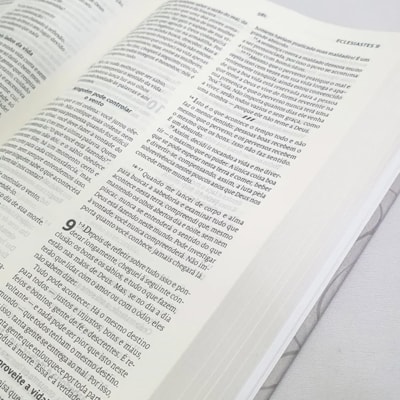 image_dc8f7b8e-a34a-4368-bd56-83ddac229dc5