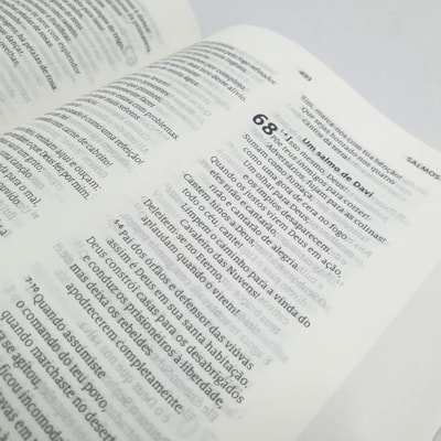 image_dd894b2a-956b-4cd9-be7f-071df2107389