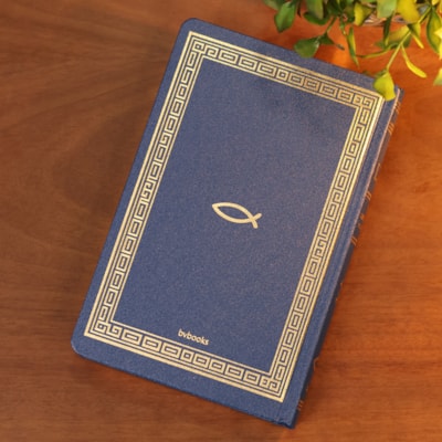 image_1946b519-ec8b-4280-a286-26bb171c8dc1