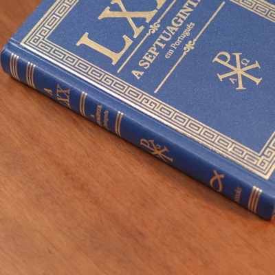 image_d1d85a54-0220-46b4-9020-a4189b5fd87b