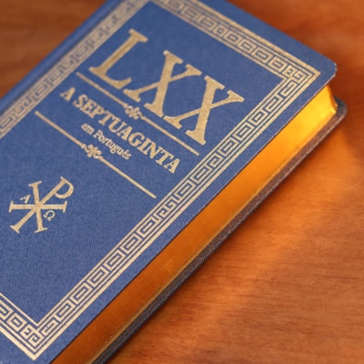 image_0485b7d1-b673-4d39-a0b7-d2b1e3e6500b