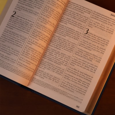 image_6ea2d43b-87aa-470b-9ac3-163c8cd4d6fd