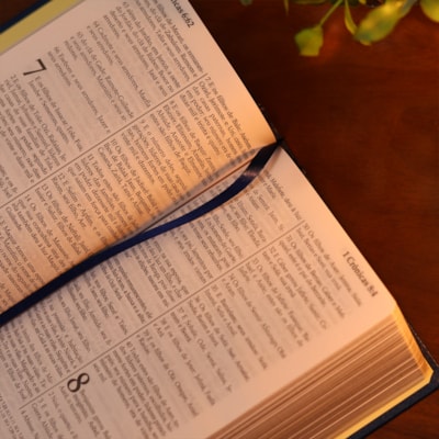 image_c65ac8f6-2a03-4e41-ac8d-d464fb8e293f