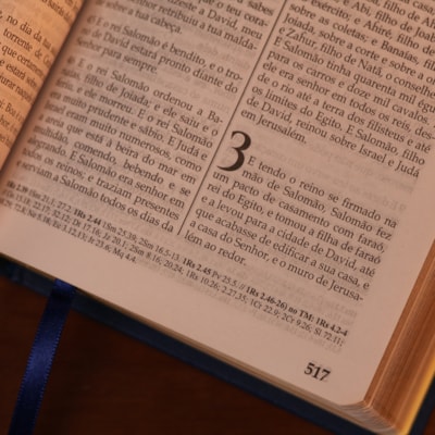 image_8e85aa93-c881-447b-b9e4-dd68ad173962