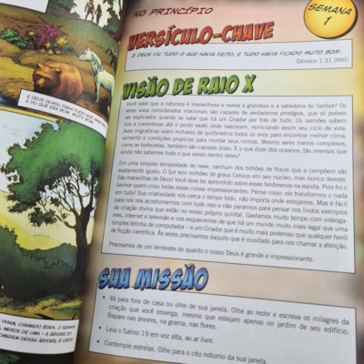 image_56fa70c0-9dfc-4686-917c-2ae7ce3dc6b6