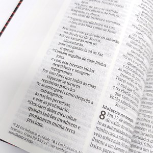 Bíblia Acima de Todos | NVT Letra Grande | Capa Dura