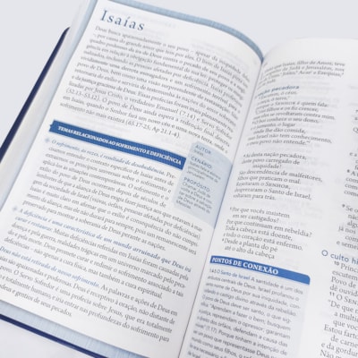 image_e67d8787-5361-4258-97b7-f176fc2d4630