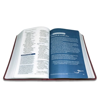 image_279c8026-c75b-469f-9b14-8bde28d847a4