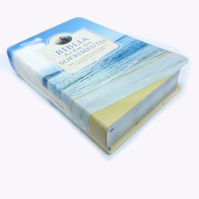 image_90be6fdb-c7ac-4ad3-9303-ff8ab6bfb940