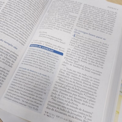 image_18205688-5f88-4163-978f-e4805abe4321