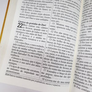 Bíblia Almeida Século 21 | A21 | Letra Grande | Capa Dura | Cruz de Cristo