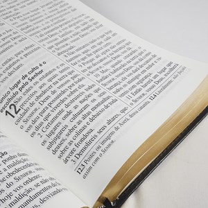 Bíblia Almeida Século 21 | A21 | Letra Grande | Capa Luxo Preta