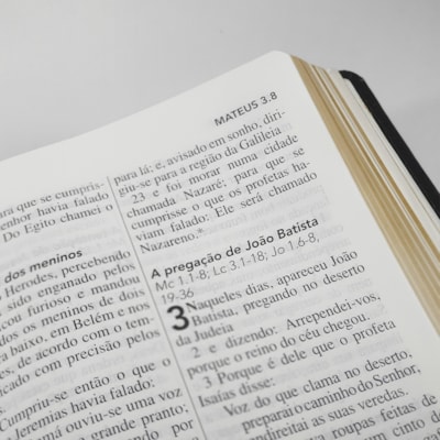 image_3822eed9-280e-4e9a-aa56-a5dfd63d6f62