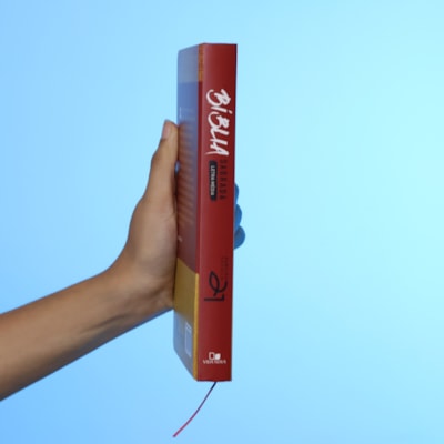 image_f2fb9c61-65e5-44c6-918b-a9636ef6925e