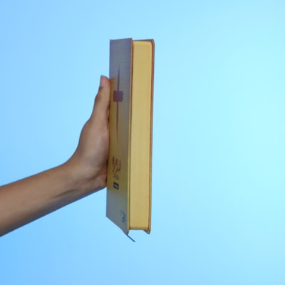 image_49c49109-9da7-4894-b106-20fcec9d9a00