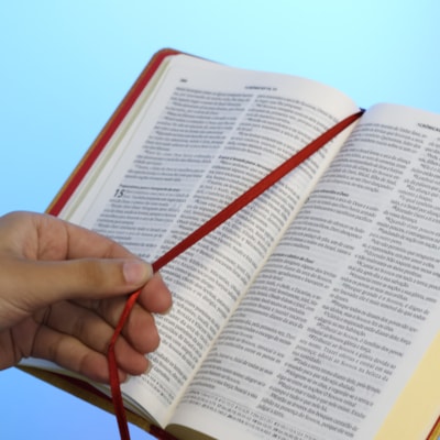 image_e4a33e01-9529-4b53-b15f-fa383203451d