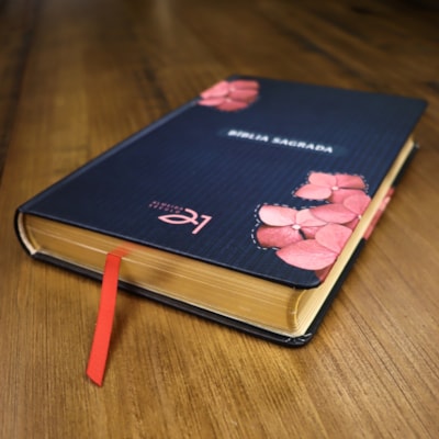 image_b6ebaa39-c5e7-4ca4-a179-1c701c5d6763