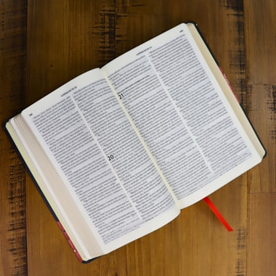 image_9428bbab-a94e-40ee-bde3-6ddcf54b274e