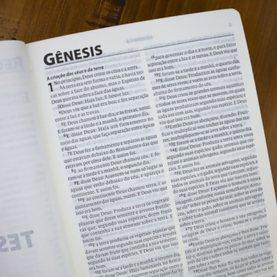 image_17fa7f81-0120-436f-9a9c-78a3c737ceb7