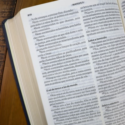 image_32acf0b5-b7a1-40a6-aaca-20b54df8af83